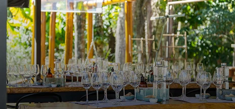 Gestantes podem consumir vinho? Entenda os riscos e as alternativas seguras