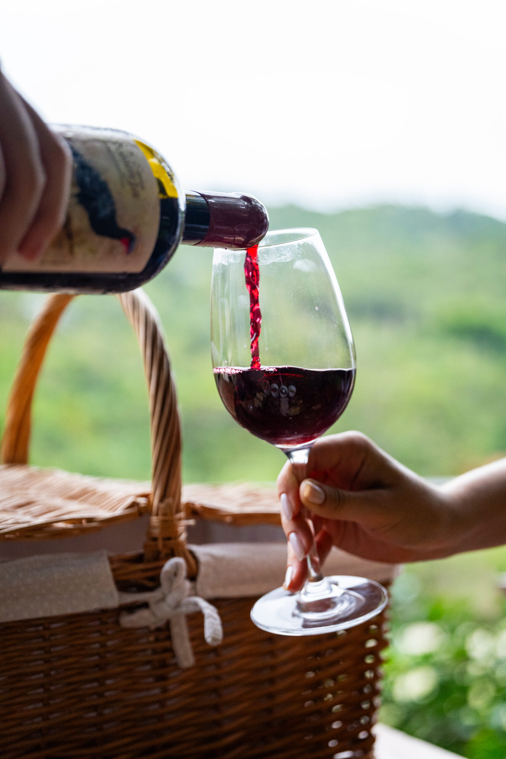 Chile Turismo 2025: neve, vinho e cultura na nova edição da Revista Viaje Mais