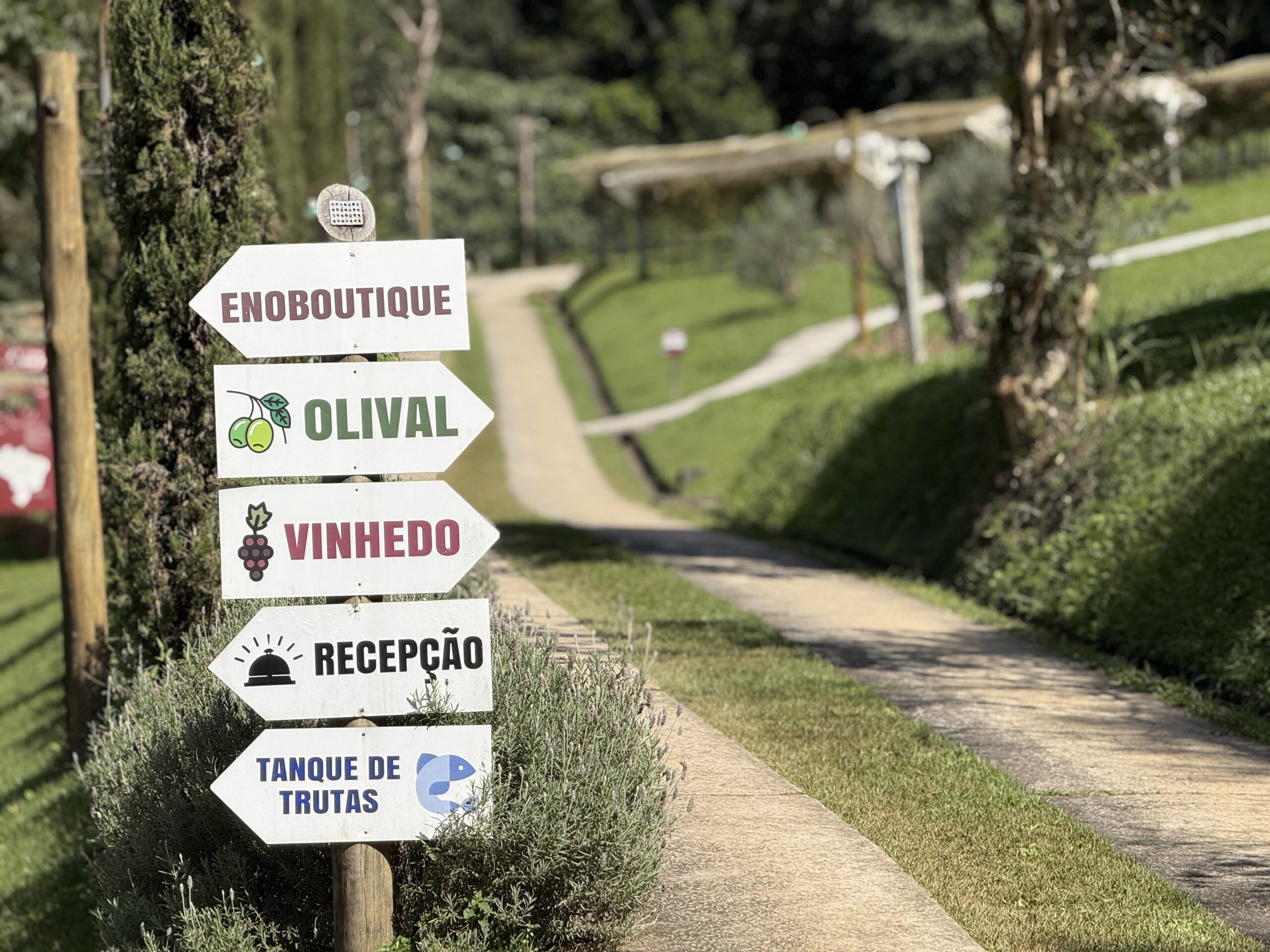Rota do Vinho na Serra da Mantiqueira: descubra a experiência da Vinícola Essenza em São Paulo