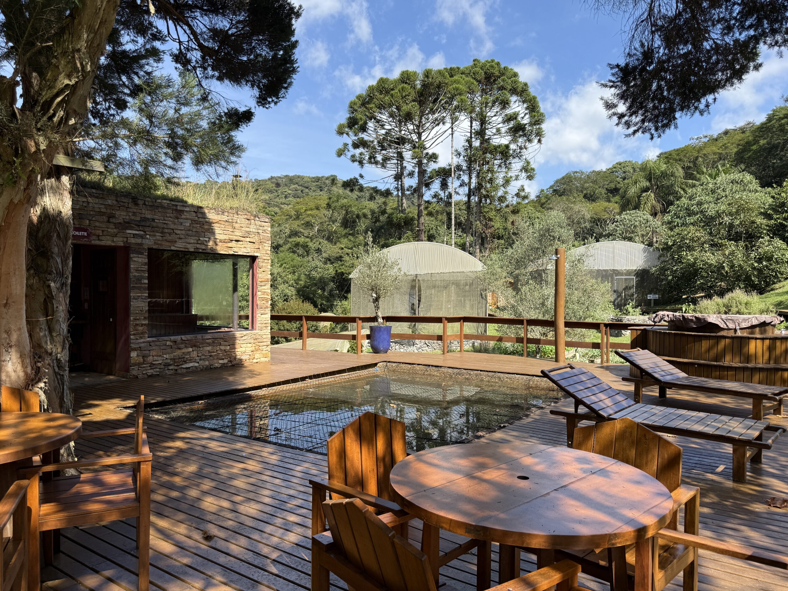 Enoturismo na Serra da Mantiqueira: uma experiência que vai além do vinho