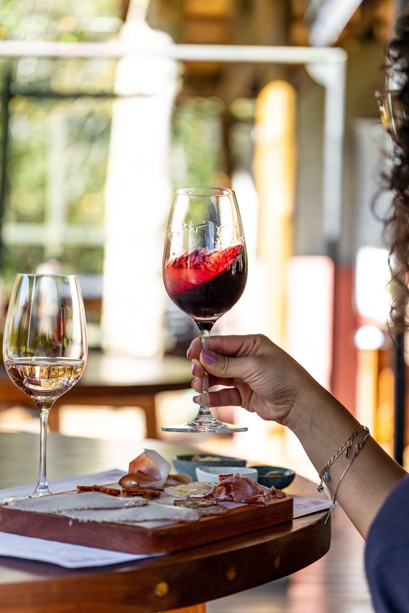 Degustação de vinhos: como identificar aromas, sabores e equilíbrio na taça