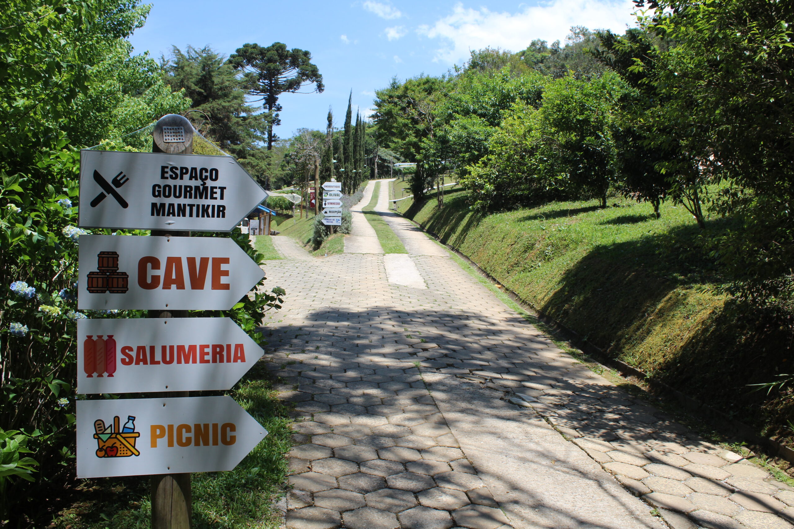 Carnaval na Serra da Mantiqueira: troque o confete pelo brinde