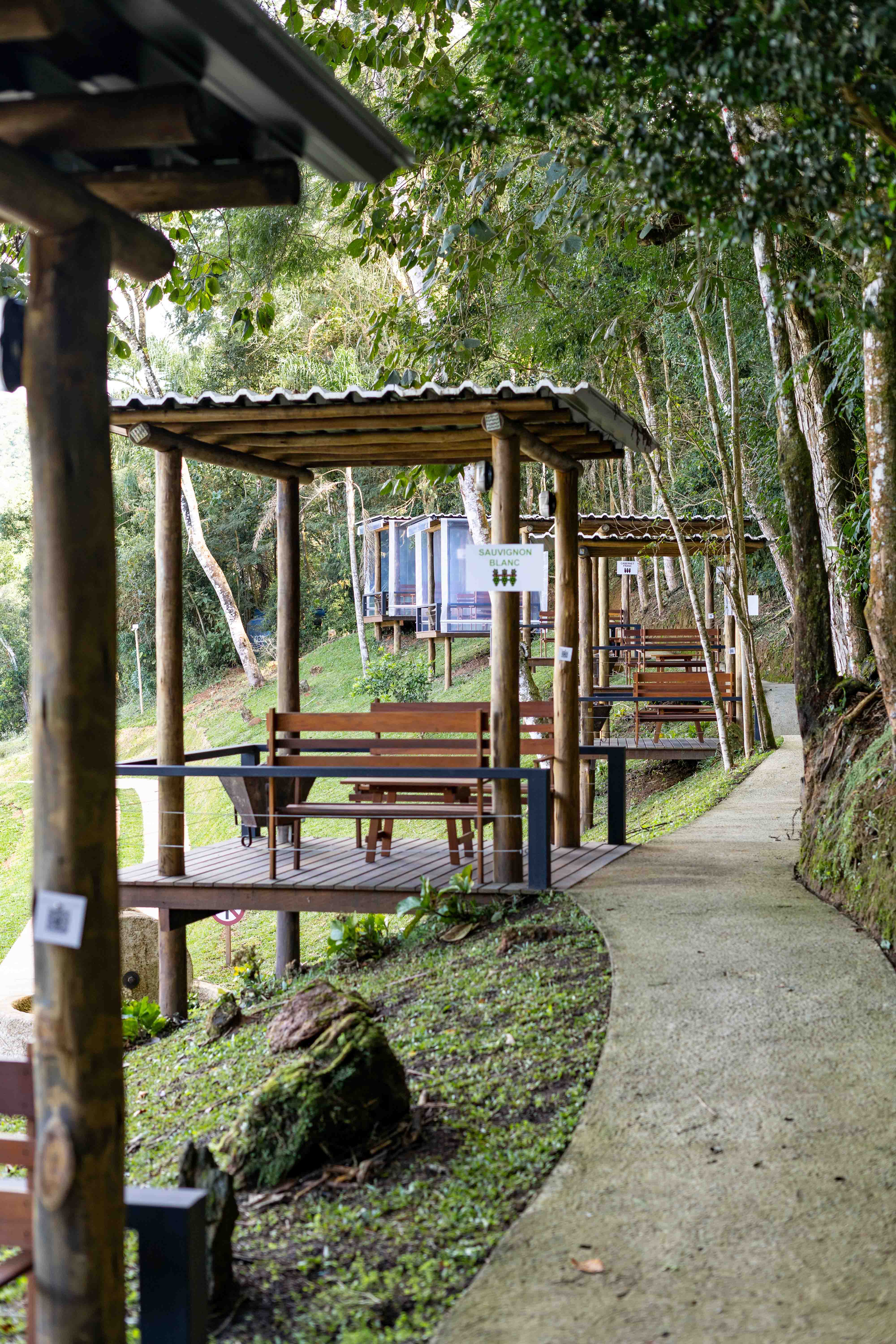 DSC03179-2